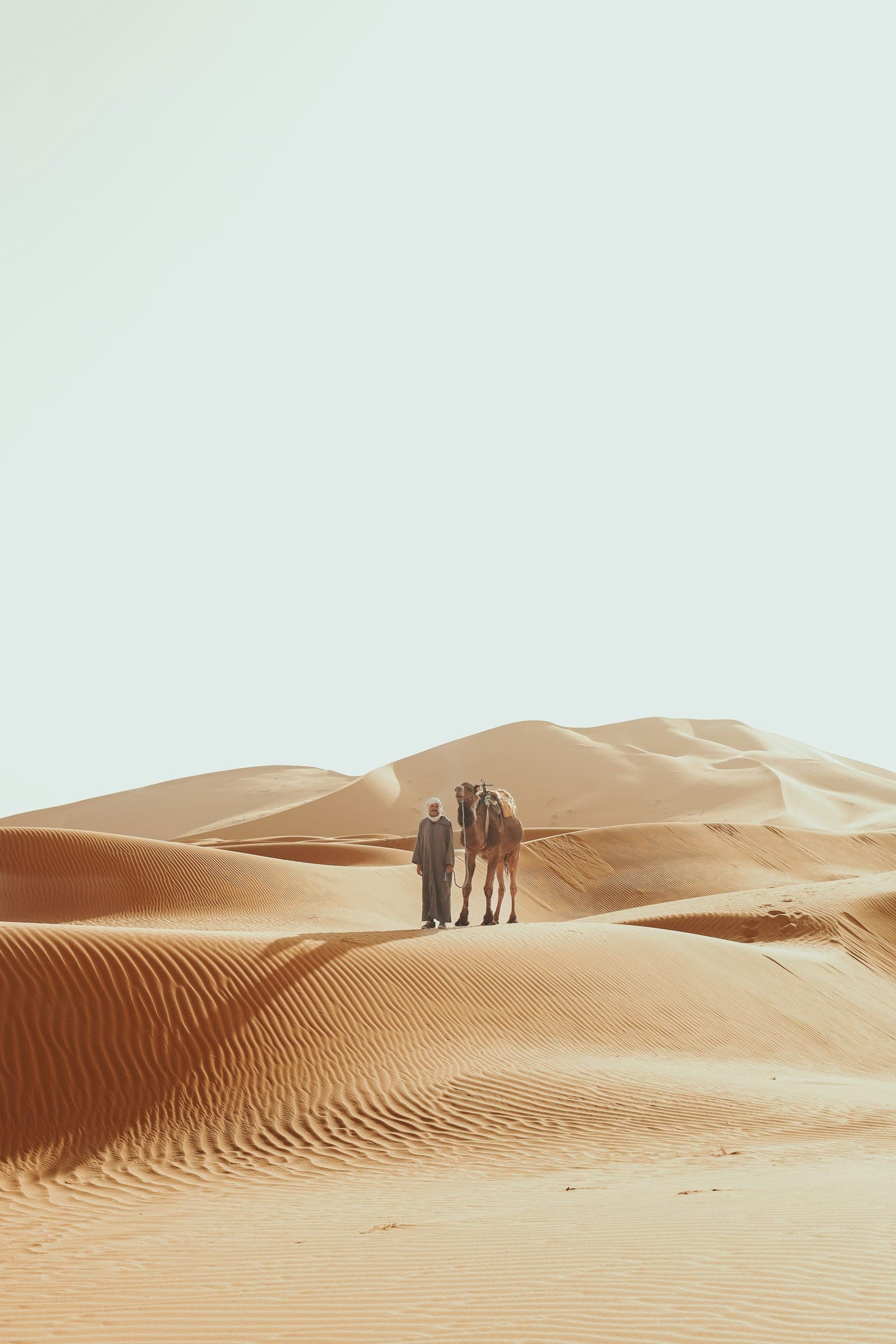 Dawn Camel Ride & Bedouin Breakfast