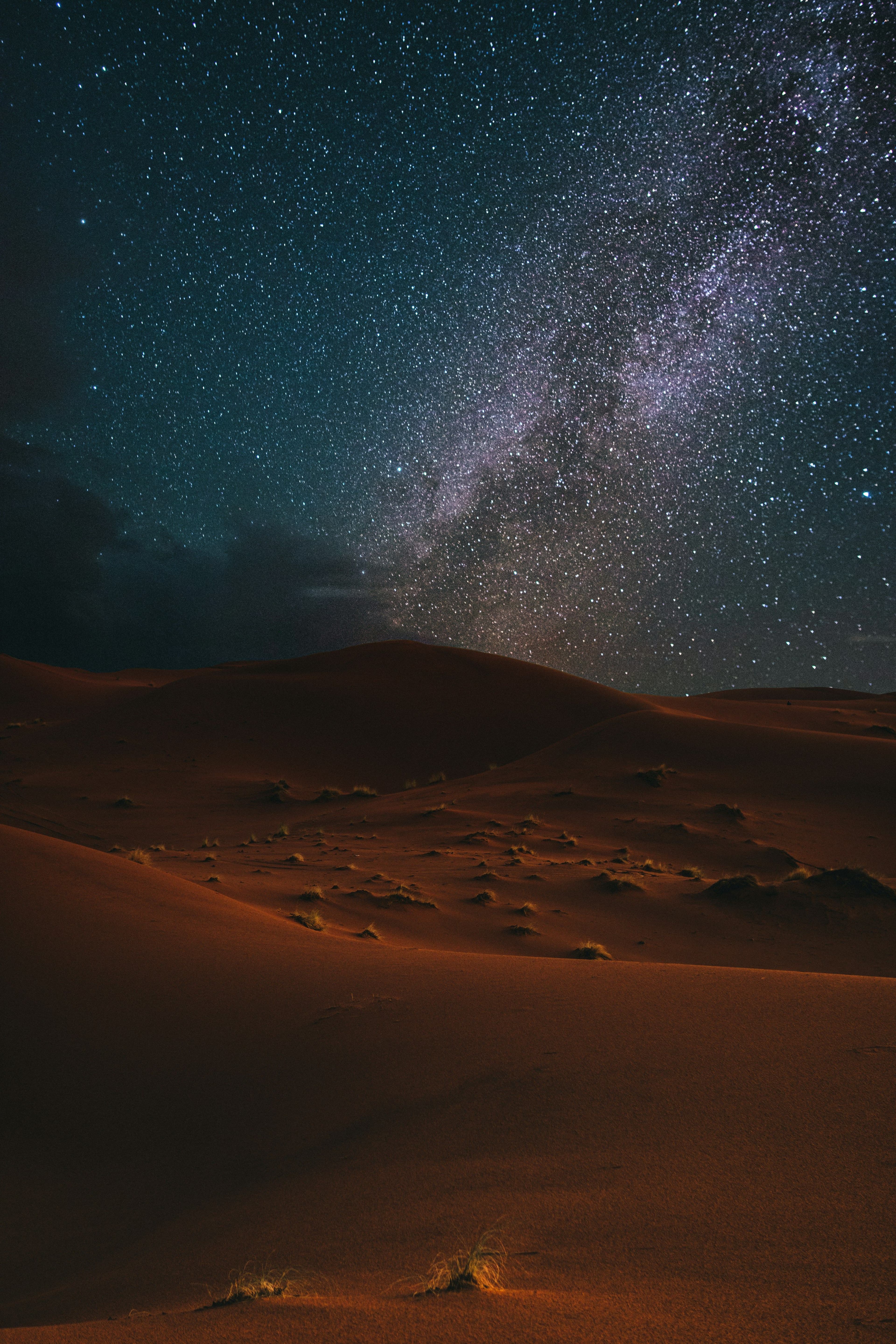 Desert Astronomy Night