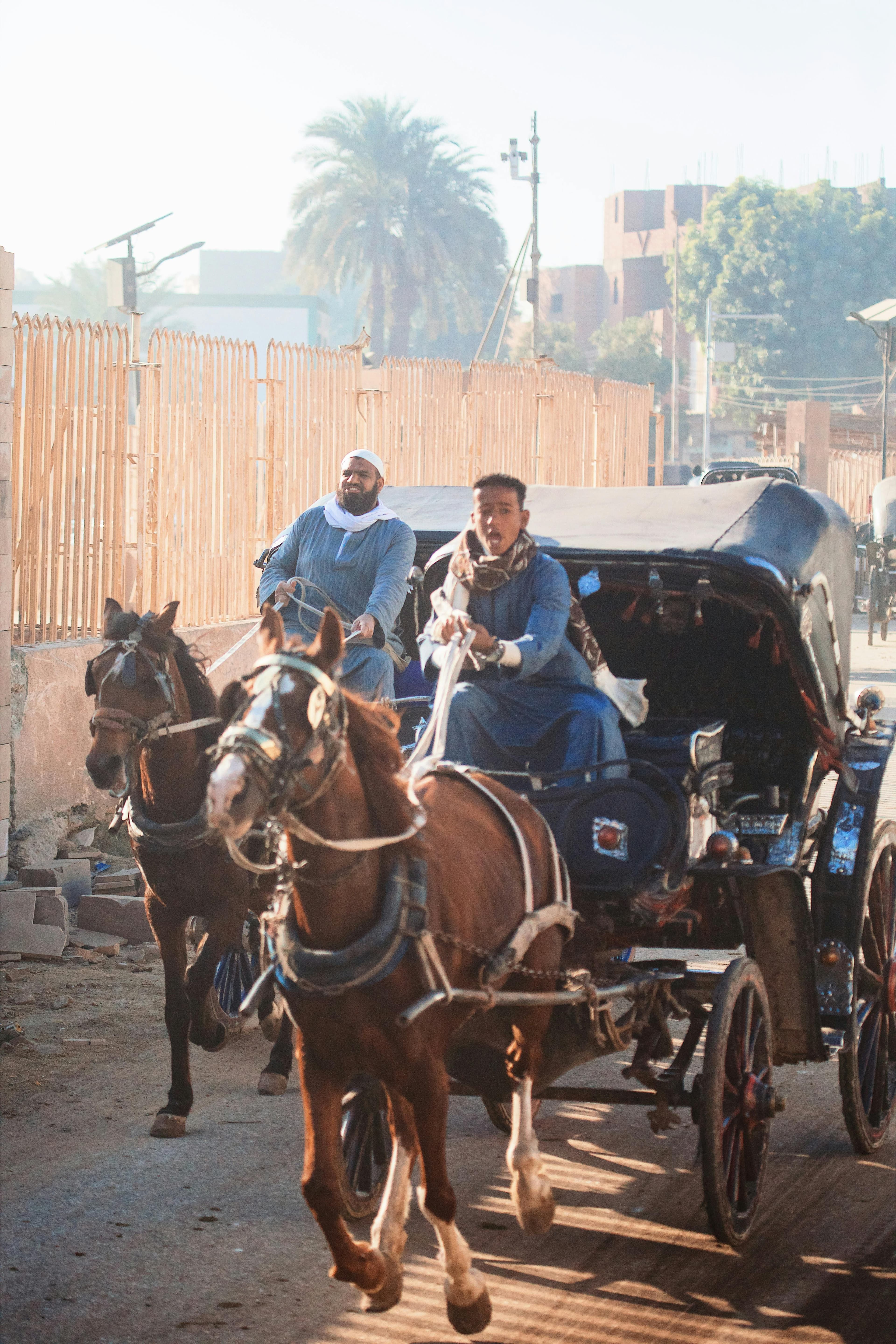 A horse-drawn carriage on a Luxor street