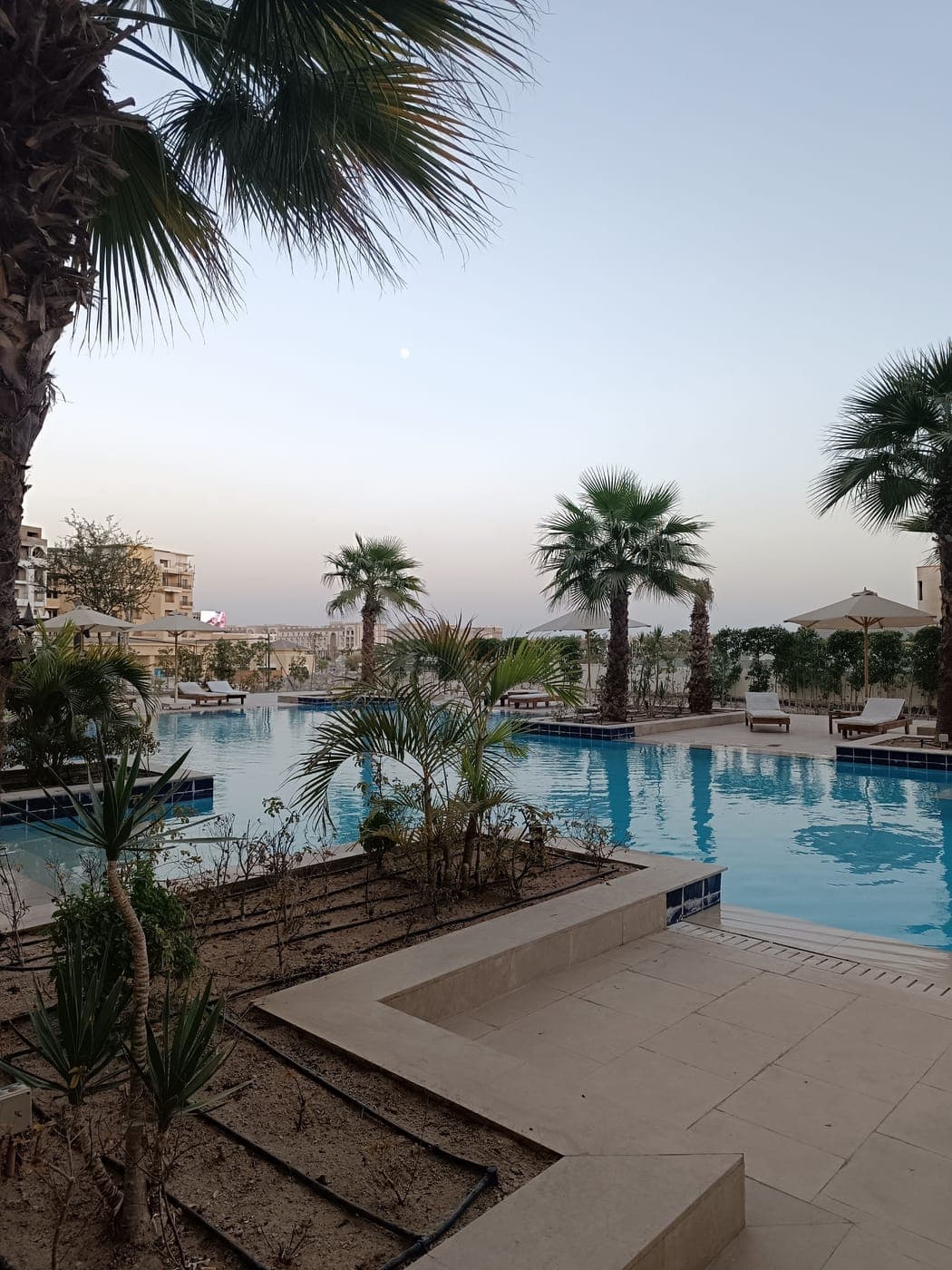 The pool at dusk