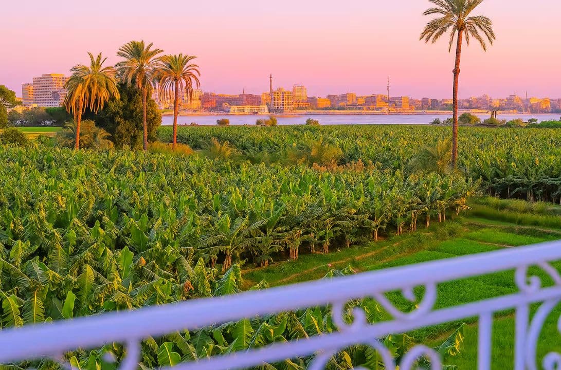 The banana groves and the river from above.
