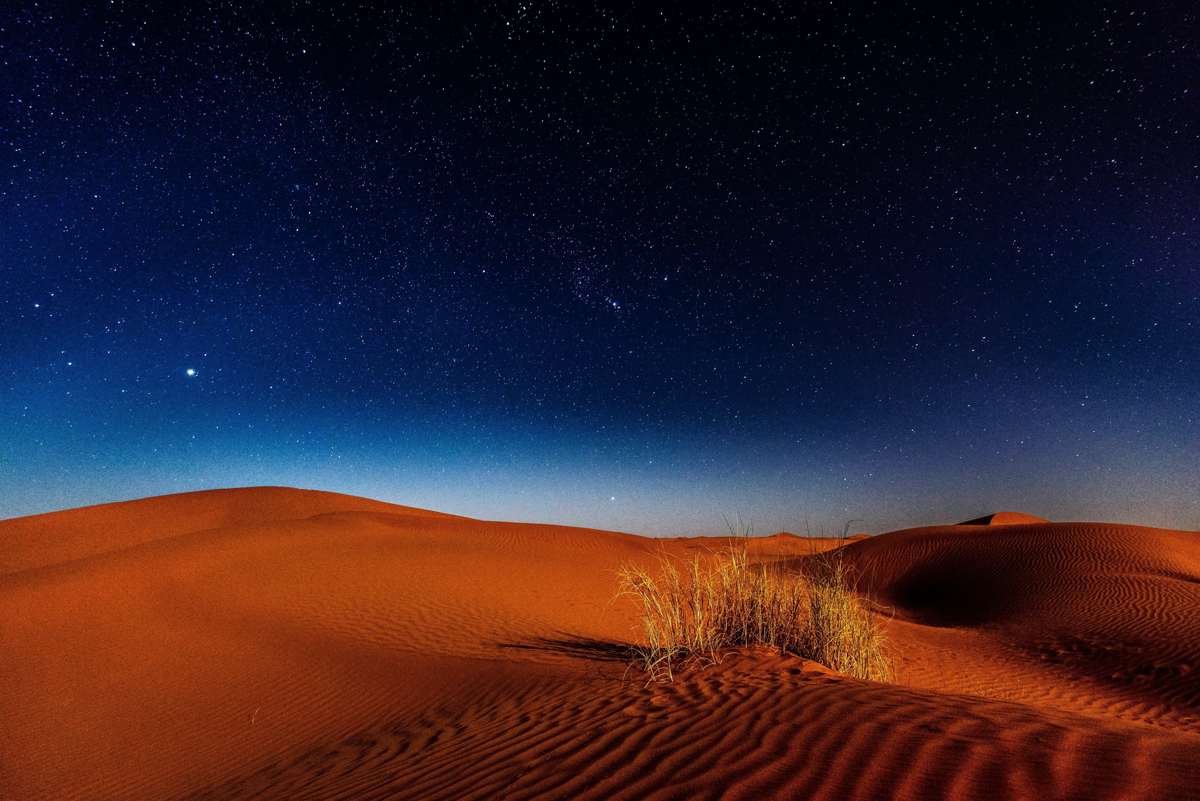 The night sky the desert is famous for.