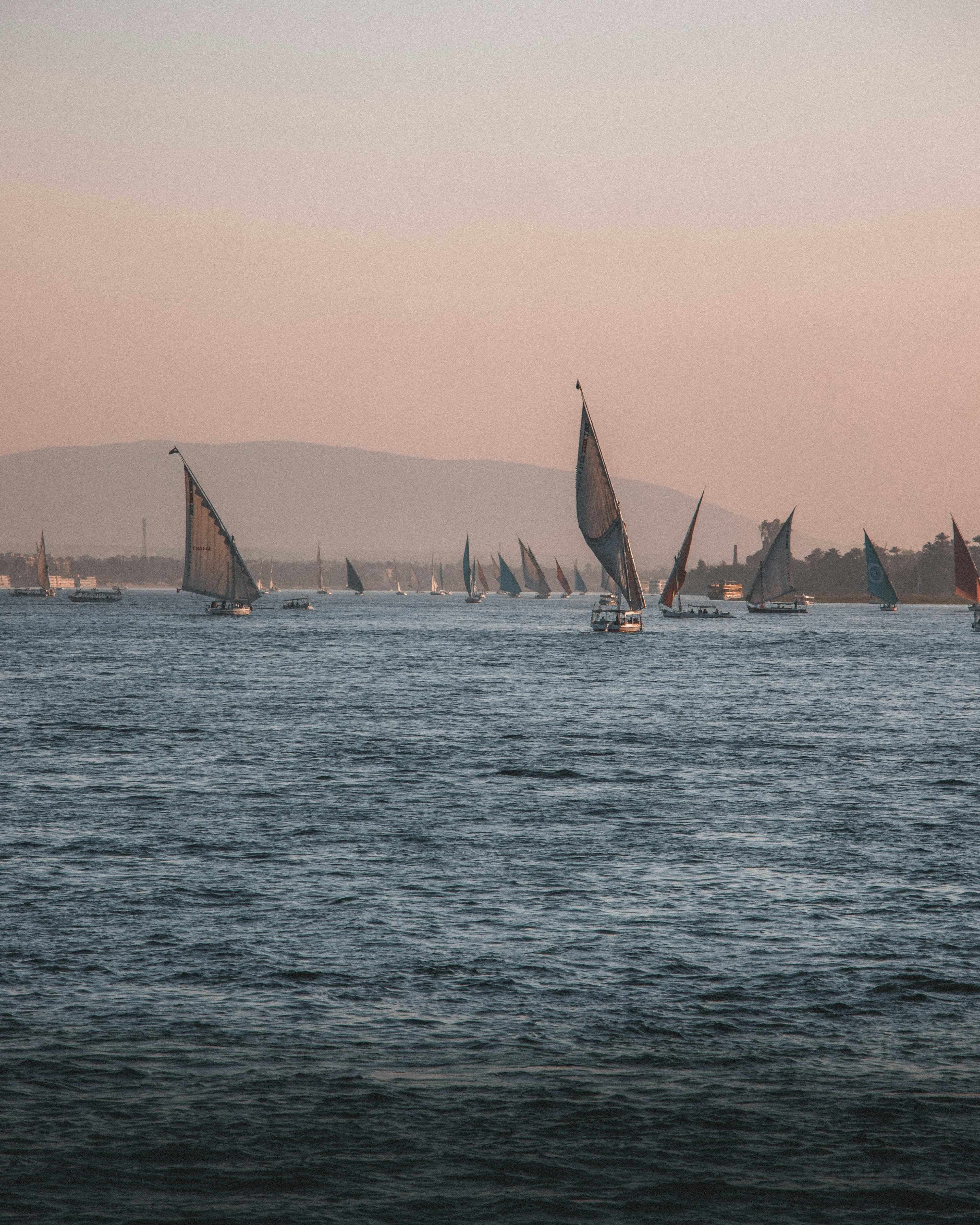 White sails against a burning sky.