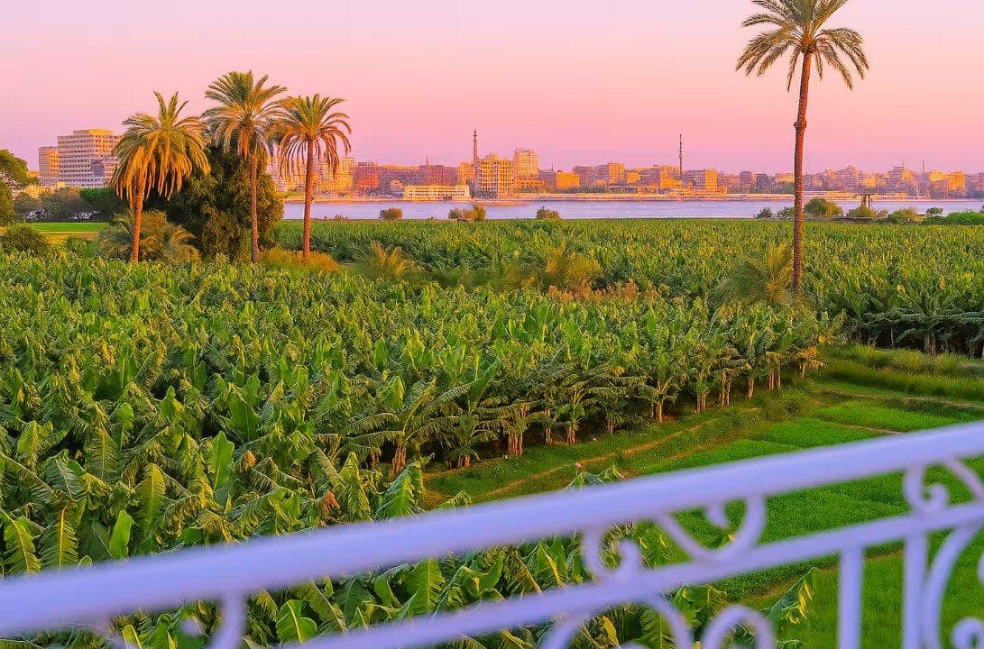 The Nile from your table as the light goes.