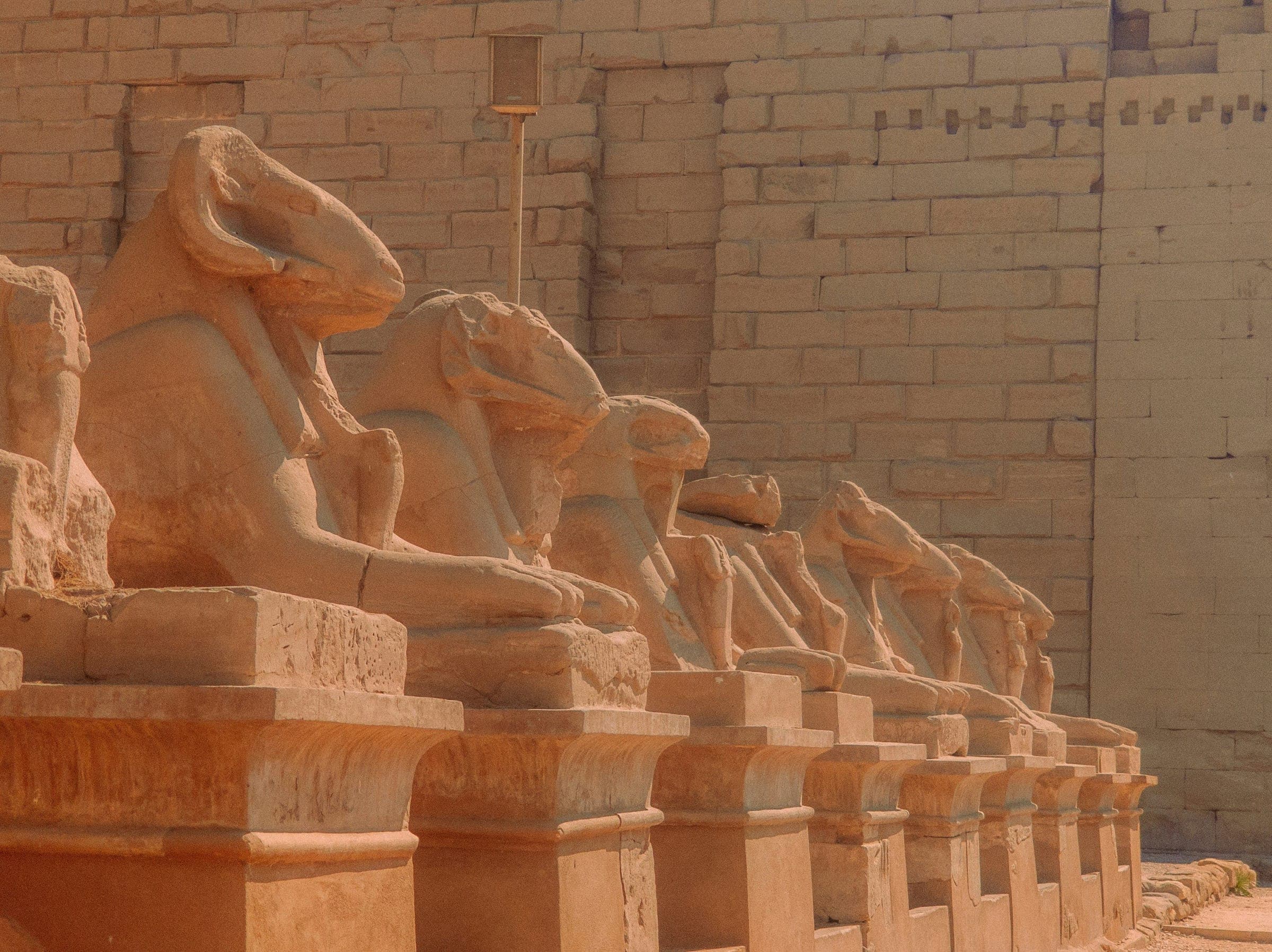 The avenue of ram-headed sphinxes at the first pylon.