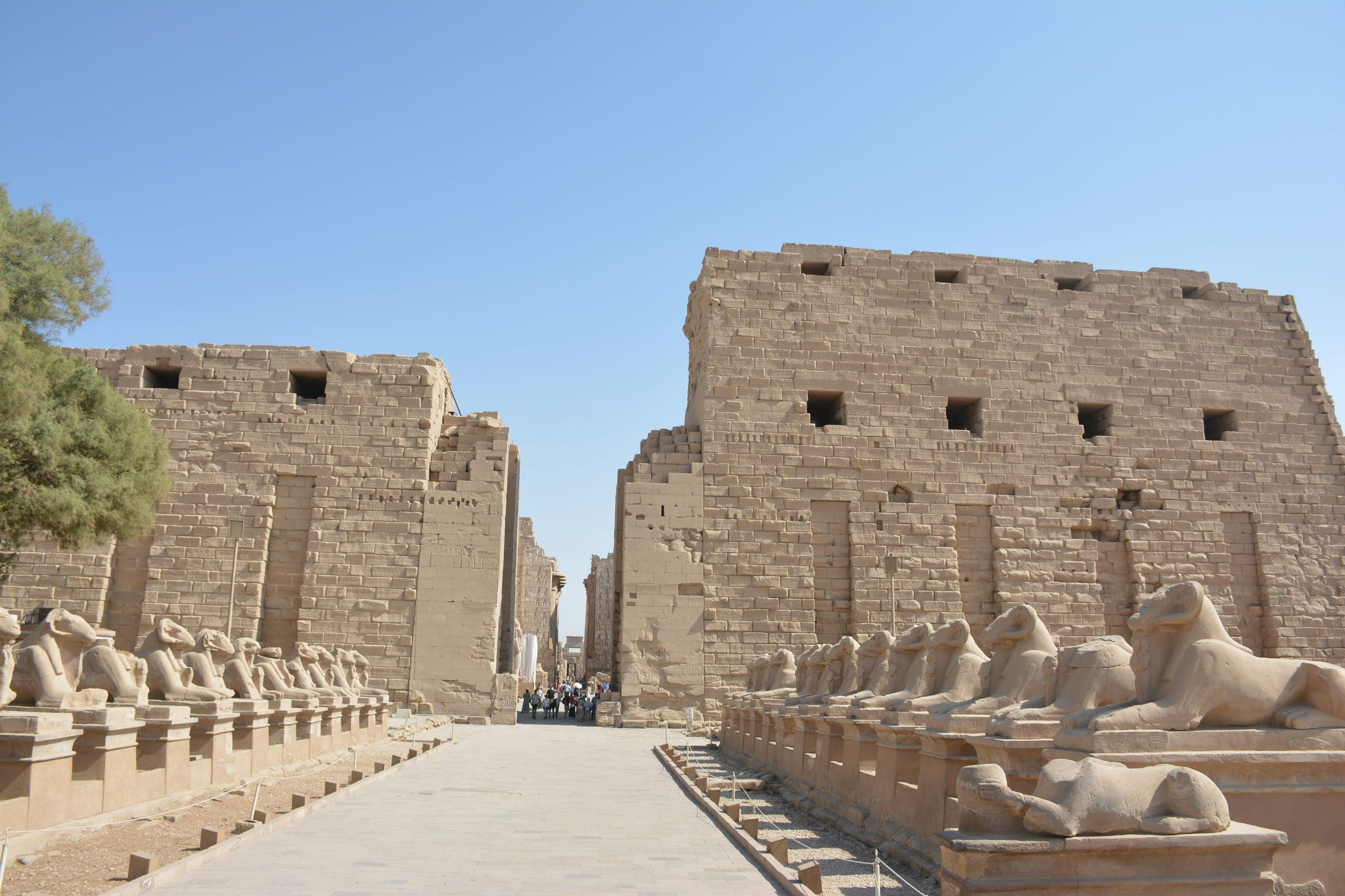 The great first pylon and its avenue of sphinxes.