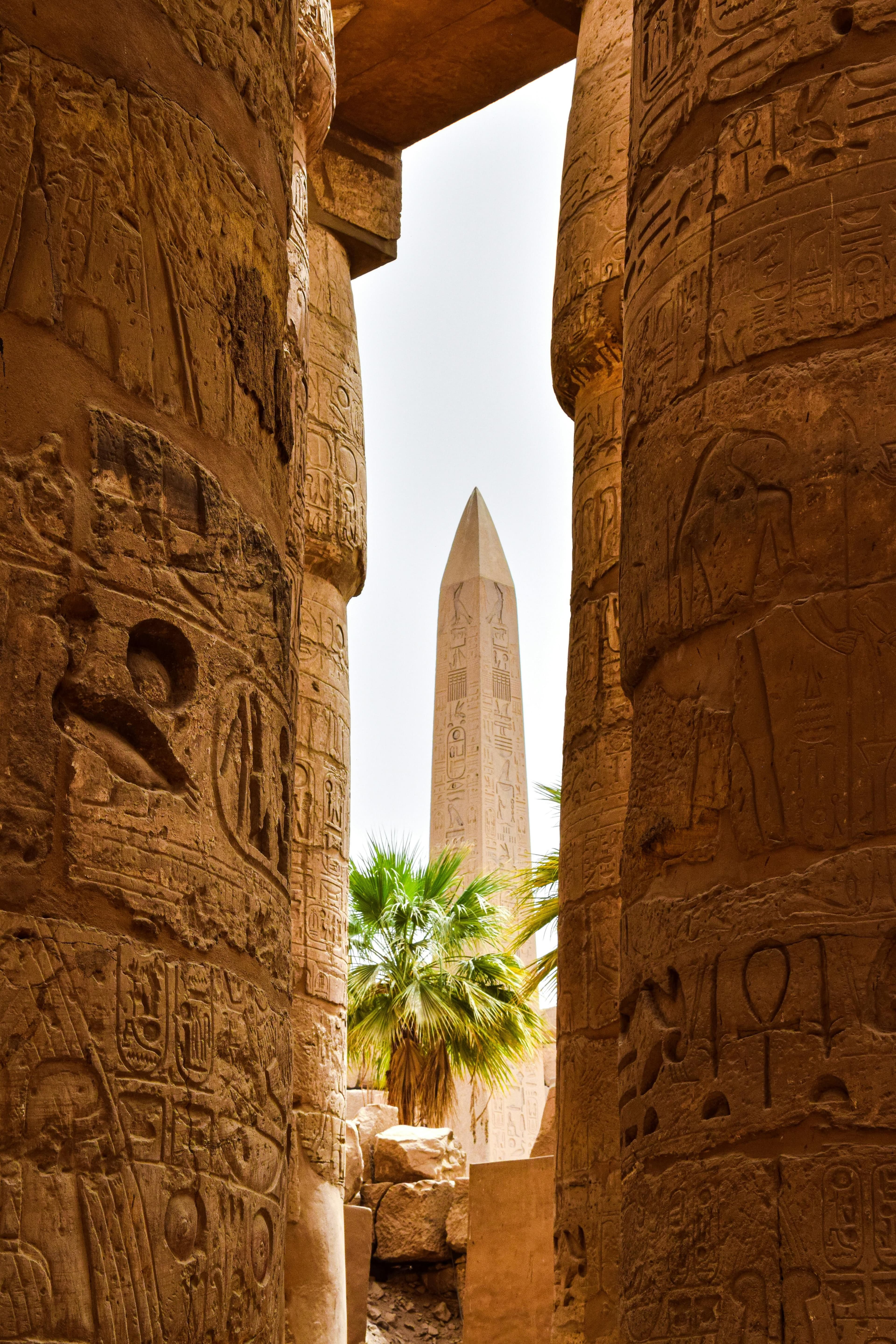 An obelisk framed by the colonnade and palms.